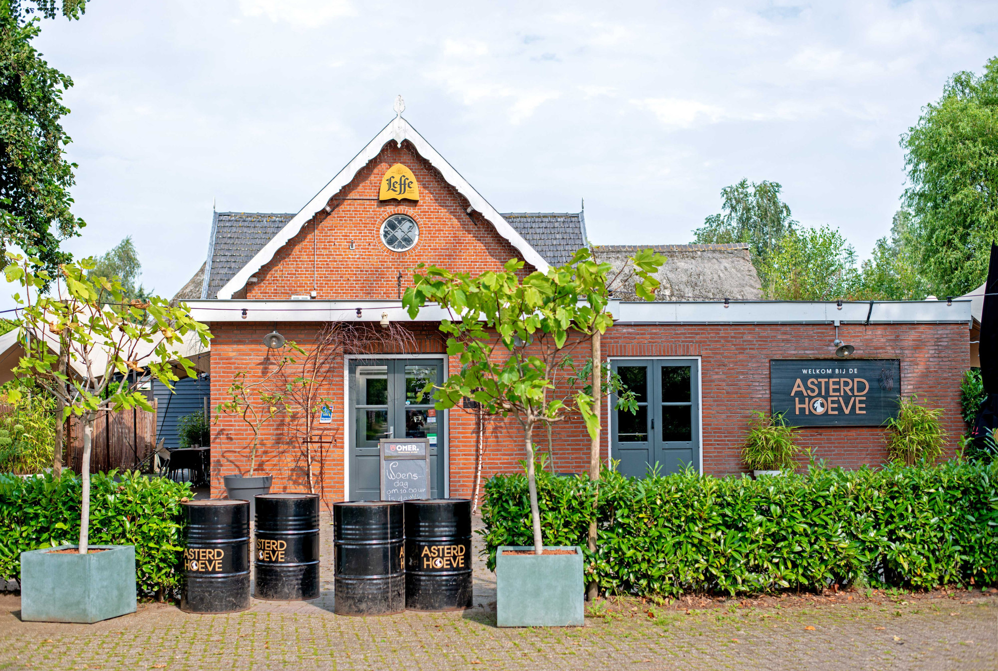 24091401asterdhoeve[3]jb